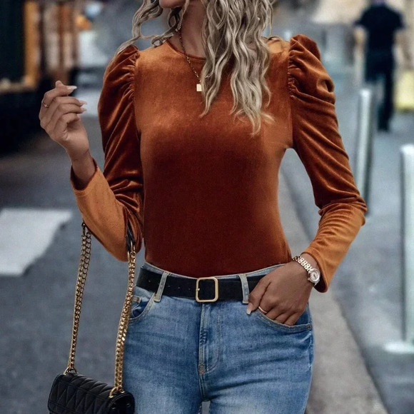 Brown Casual Women's Gigot Sleeve Velvet Tee - Picture 5 of 6